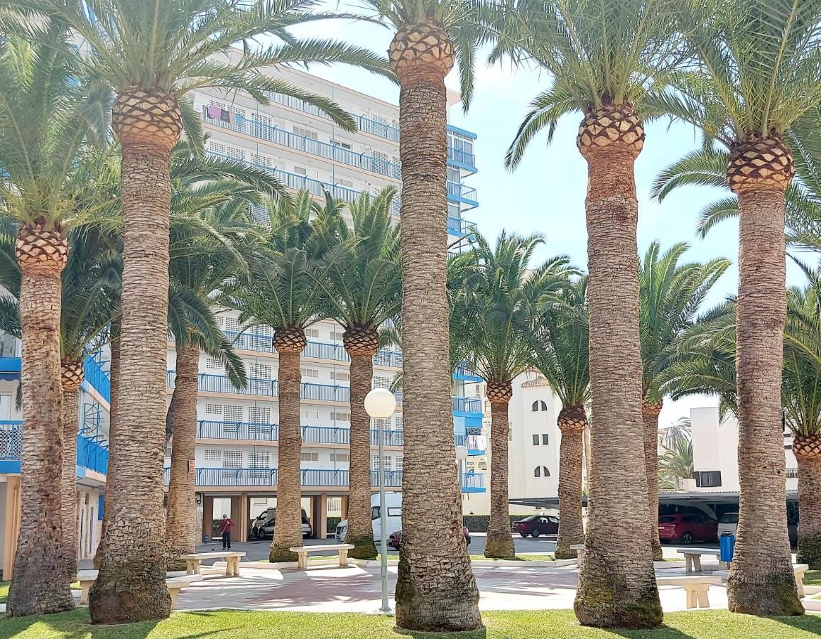Exclusif Appartement En 1Er Ligne, Vue Imprenable, Piscine, Parking Prive A Playa Mucha Vista, Alicante El Campello Esterno foto